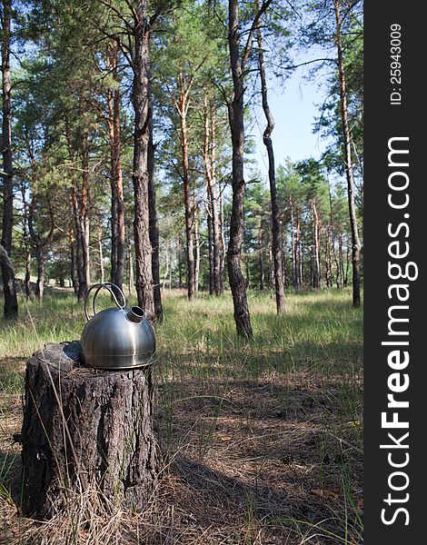 Kettle on the stump in pine forest with blurred background