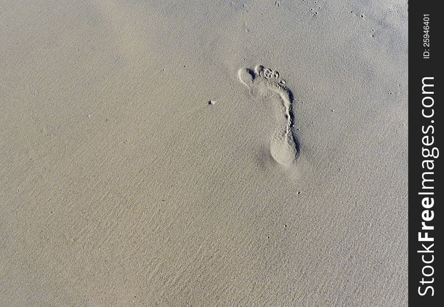 Single footprint on sand beach. Single footprint on sand beach