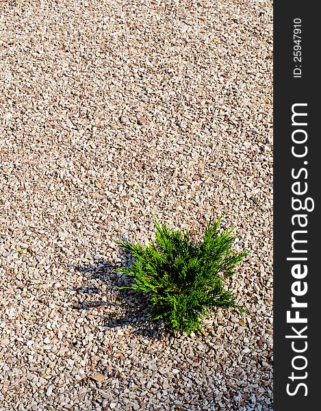 High resolution gravel texture with small details. High resolution gravel texture with small details