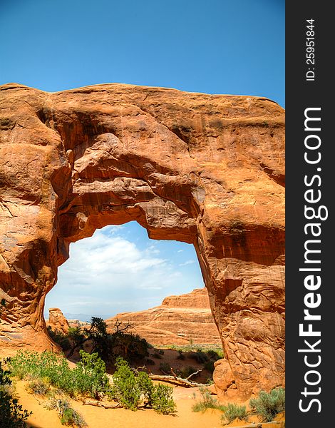 Scenic view at Arches National Park, Utah, USA in the daylight