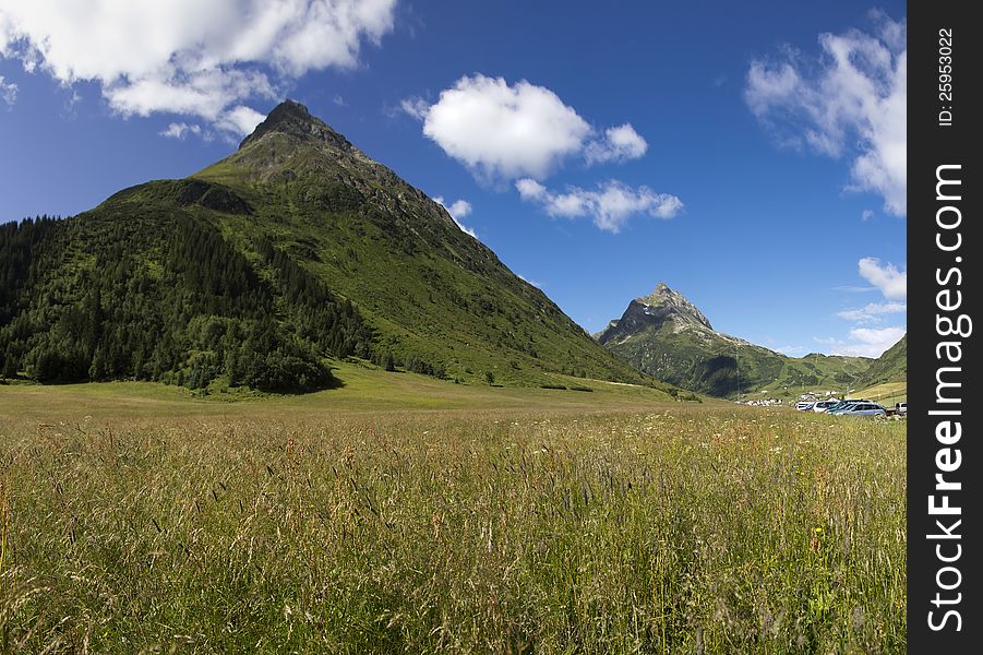 Green Summer Alps Meadow at Galtür, Tyrol Valley, Austria