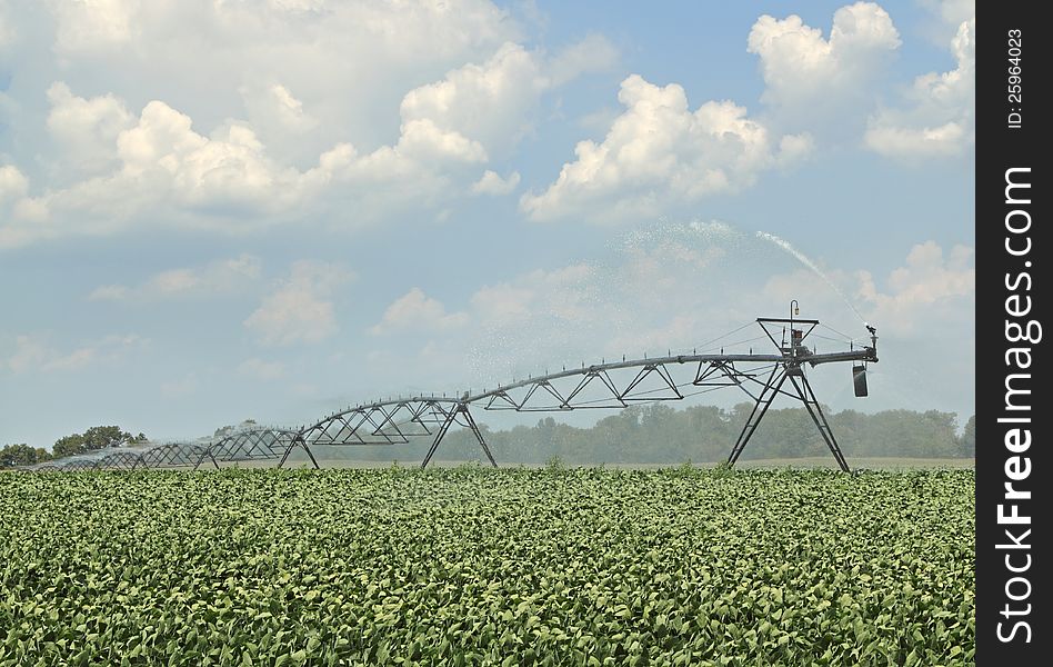 Irrigation equipment watering a crop of soybeans. Irrigation equipment watering a crop of soybeans