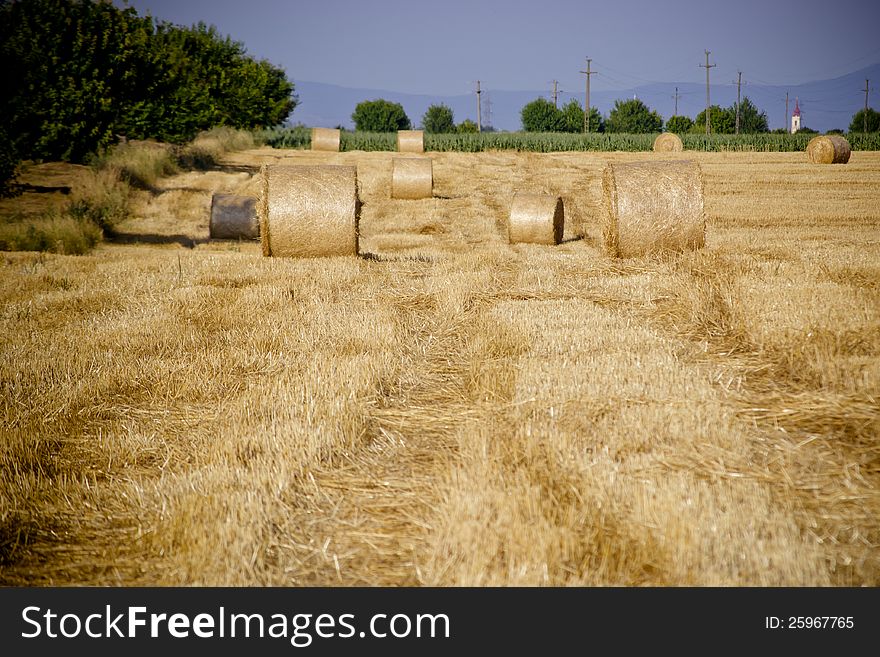 Field of bundle of straw