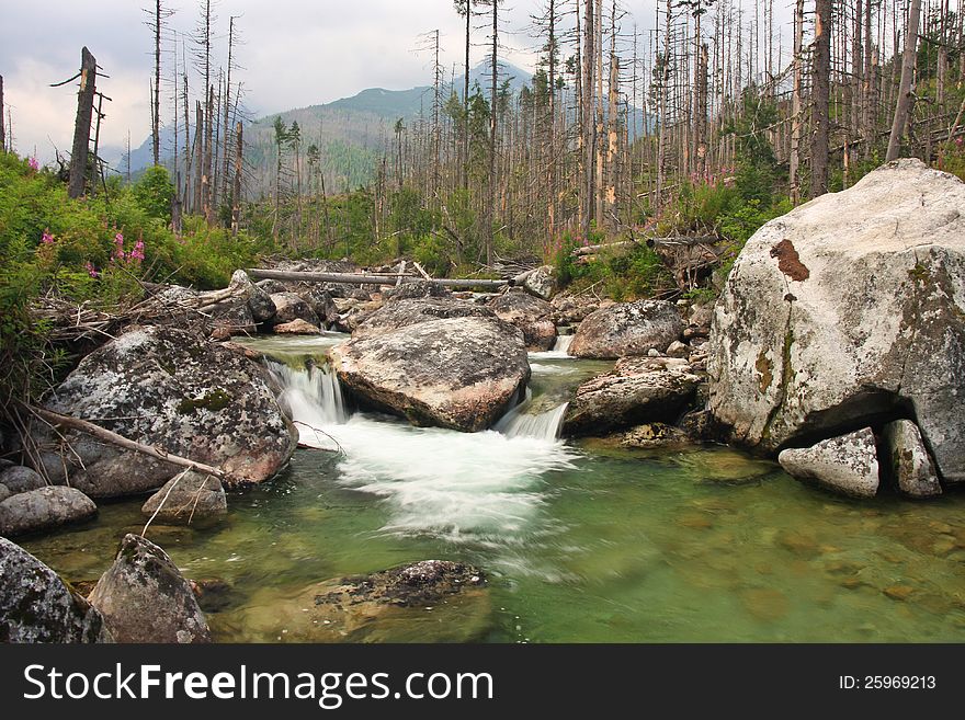 Scenic view of river in forest with mountains in background. Scenic view of river in forest with mountains in background.