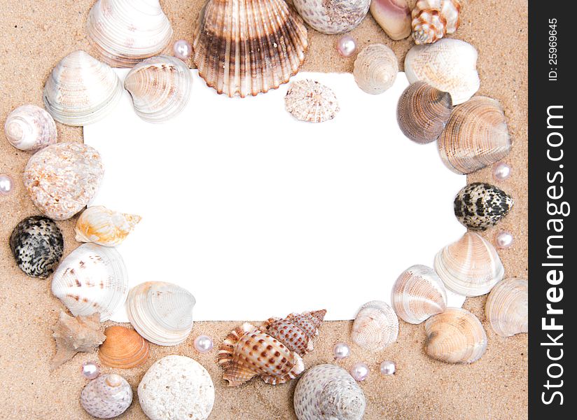 Holiday concept, blank paper on the beach with seashells. Holiday concept, blank paper on the beach with seashells