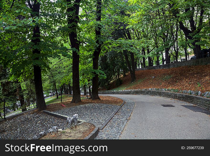 Descending paved path in a park forking with a stone staircase