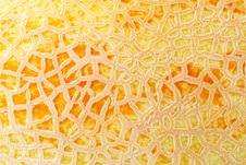 Closeup Of Melon Peel Royalty Free Stock Photo Closeup Of Melon Peel Royalty Free Stock Photo