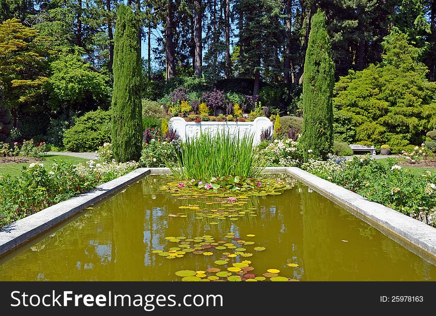 Lush botanical garden pond in spring