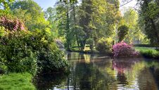 Oldenburg, Early In The Morning In The Castle Garden. A Pond With Reflections And Sunbeams Through The Trees Royalty Free Stock Images Oldenburg, Early In The Morning In The Castle Garden. A Pond With Reflections And Sunbeams Through The Trees Royalty Free Stock Images
