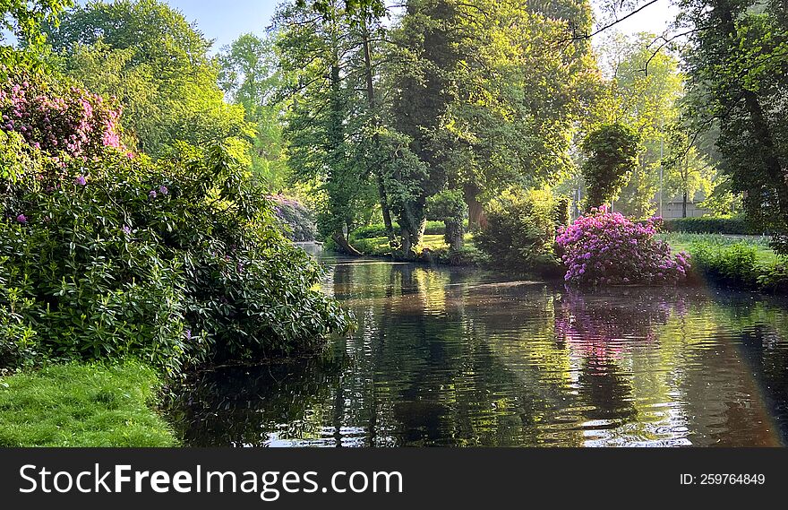 Oldenburg, Early In The Morning In The Castle Garden. A Pond With Reflections And Sunbeams Through The Trees