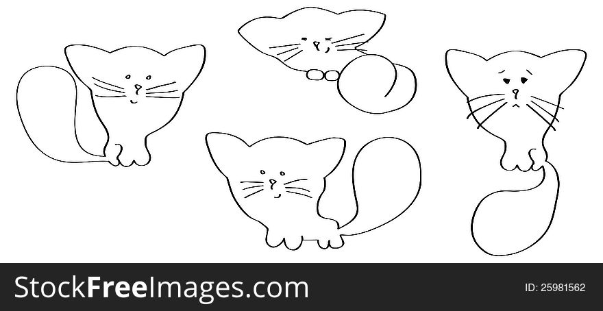 Cute cat in different poses