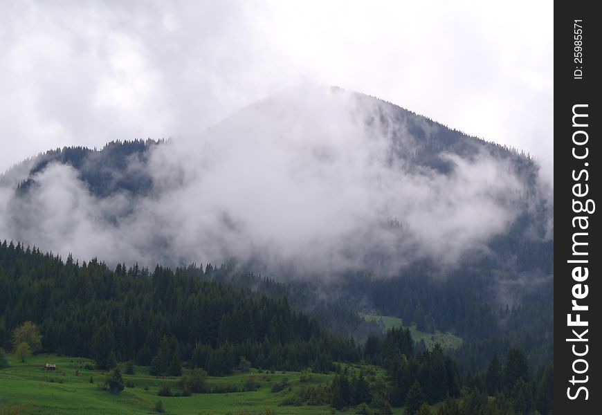 An early morning fog in the Rhodopes. An early morning fog in the Rhodopes.