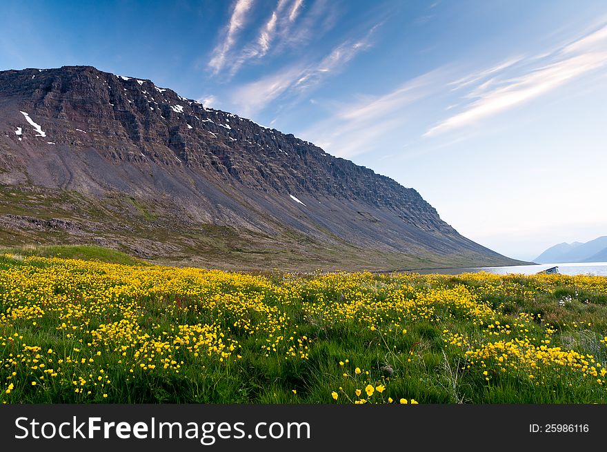 Mountain and meadow of yellow flowers and green grass