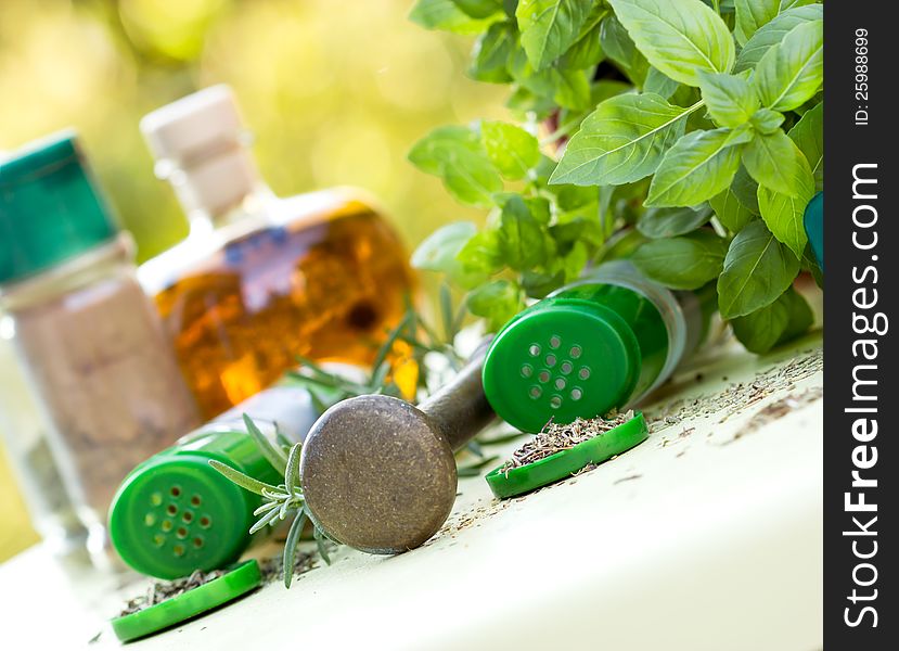 Fresh and dry herbs - spices