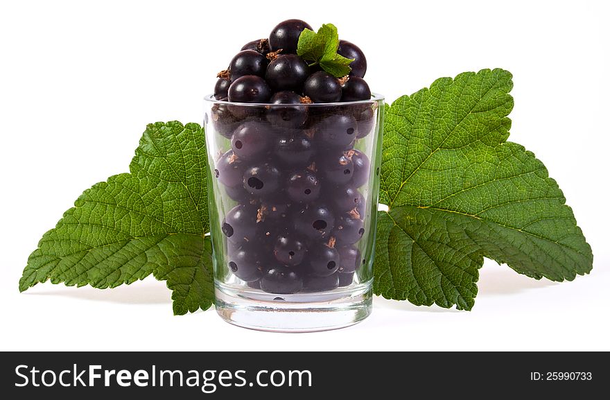 Black currants in a glass with green leaves. Black currants in a glass with green leaves