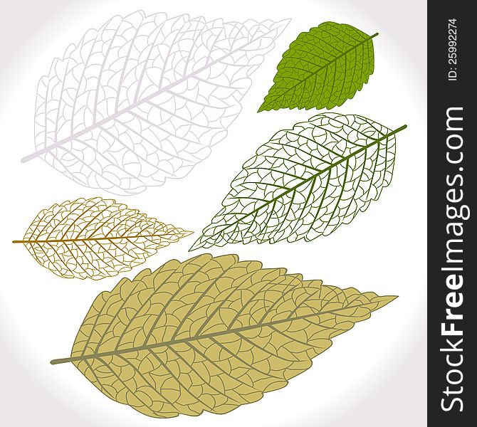Use these Vector leaves for all your nature based creative needs. Use these Vector leaves for all your nature based creative needs.