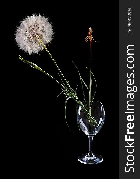 Three flowers in a glass of dandelion on a black background