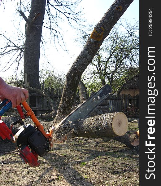 The man sawing the firewoods by petrol saw. The man sawing the firewoods by petrol saw