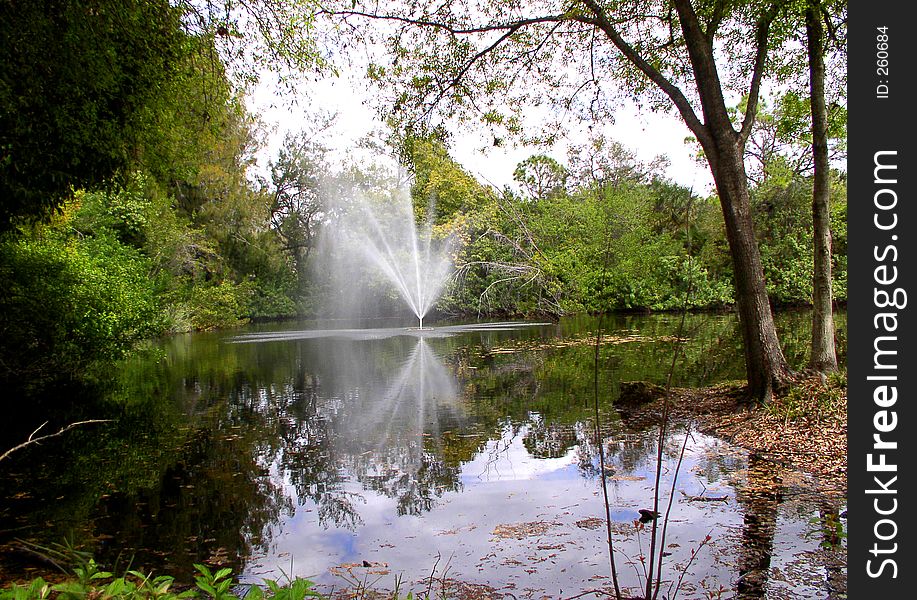 Lake with spray, surrounded by green foliage and trees, and reflection of clouds in water