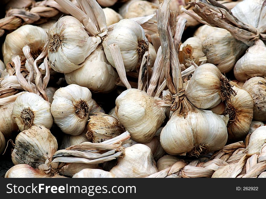 Garlic