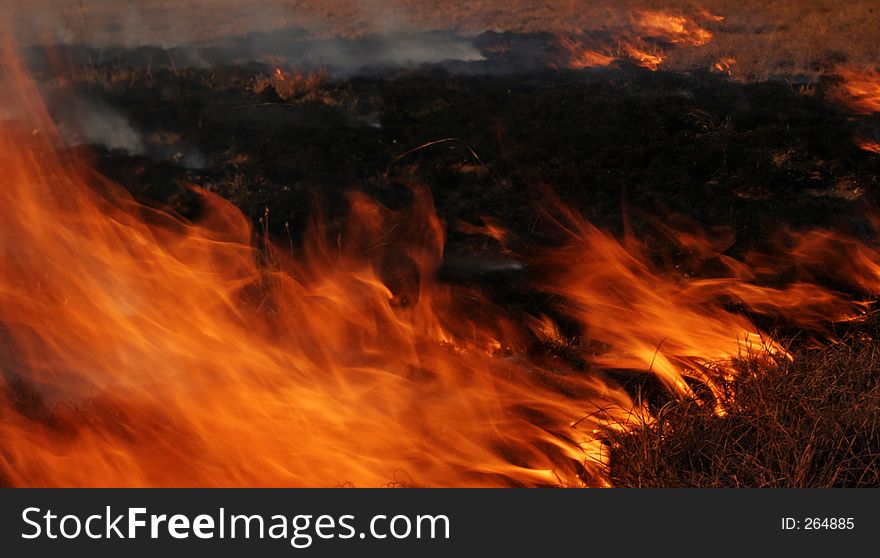 Field burning. Field burning