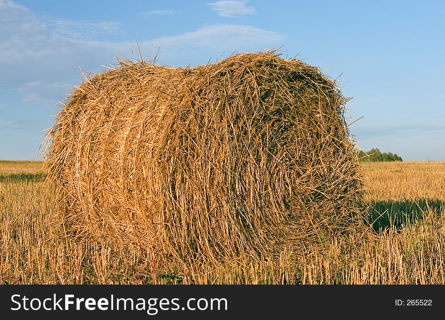 Hayrick, haystack