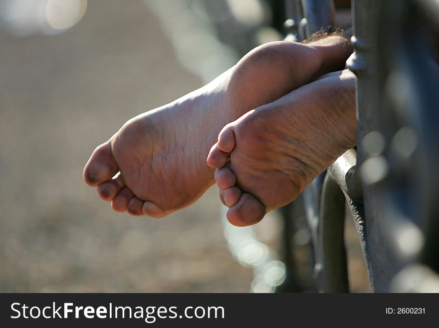 Male toes on the fence