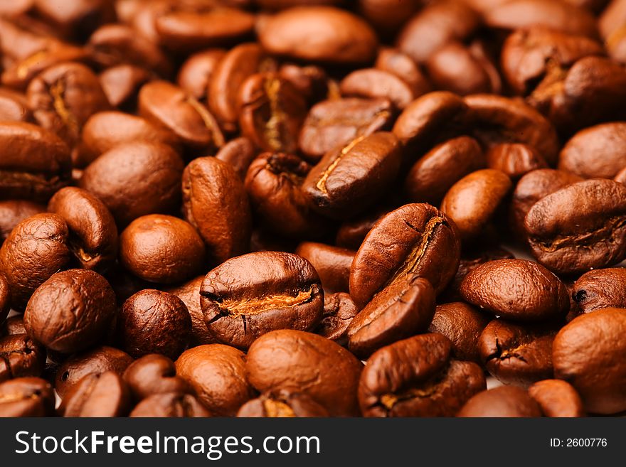 Close up of the aromatic coffe beans. Close up of the aromatic coffe beans