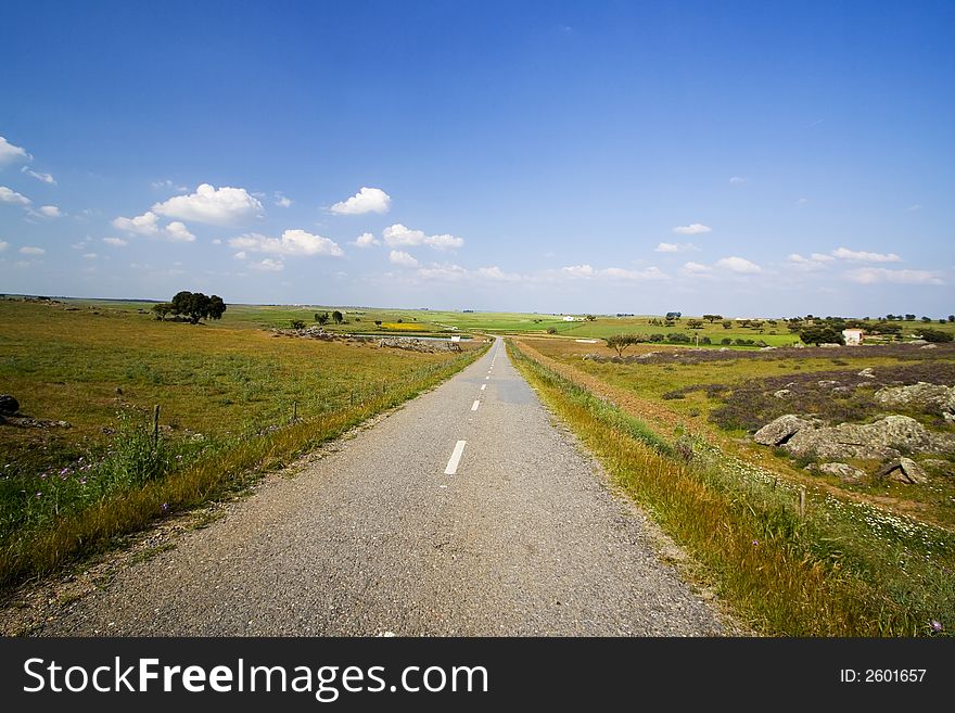 Empty road in landscape