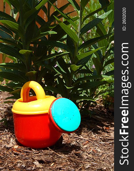 Child's watering pot in front of some plants, standing on some mulch