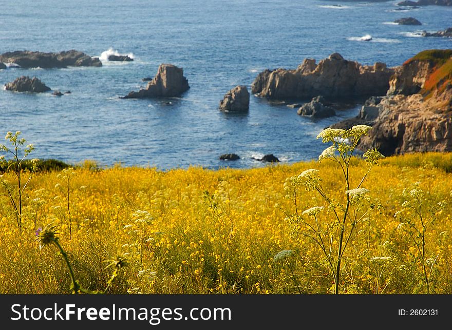 The California coast by Big Sur