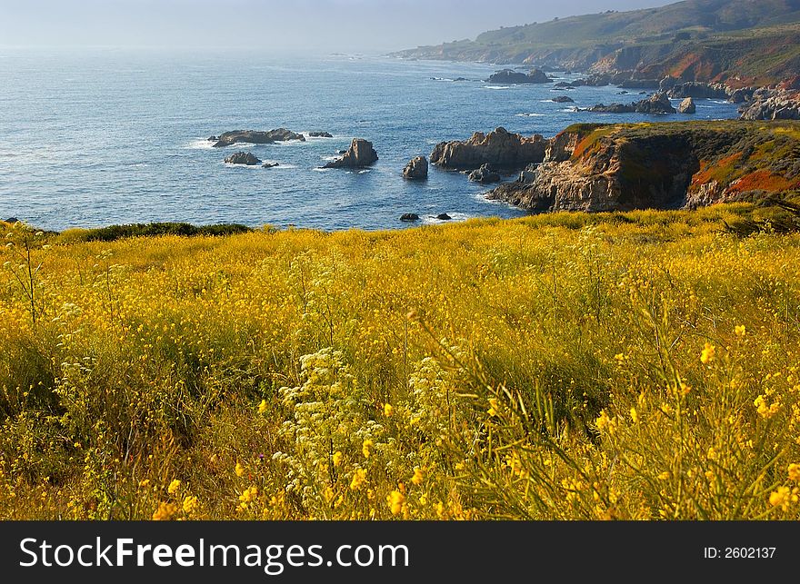 The California coast by Big Sur