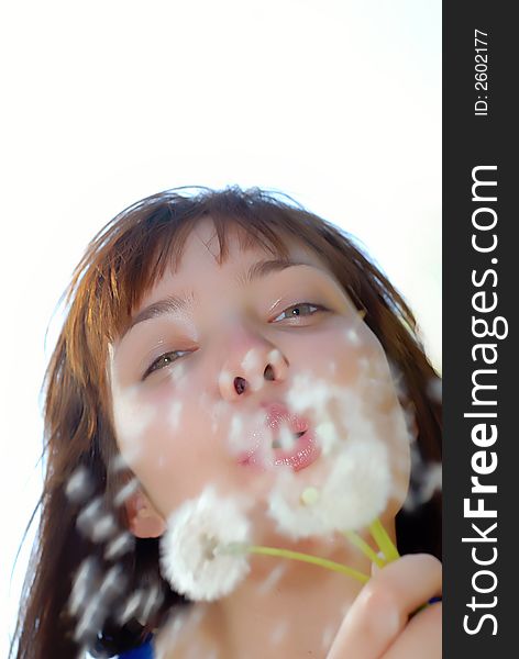 Portrait of  young girl which blows on dandelions in hands on  white background. Portrait of  young girl which blows on dandelions in hands on  white background