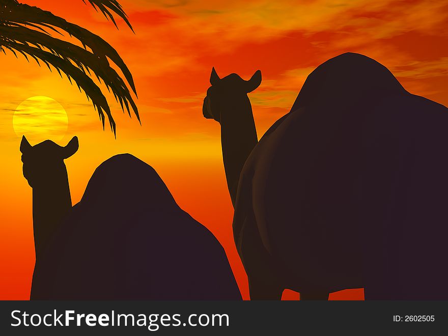 3D render of camel and sunset