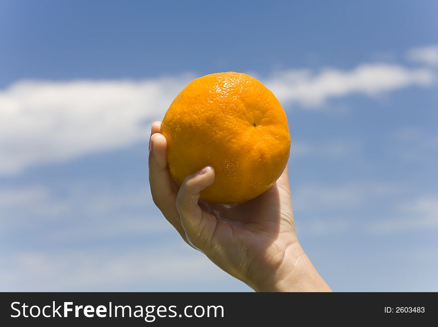 Hand keeps orange on background sky