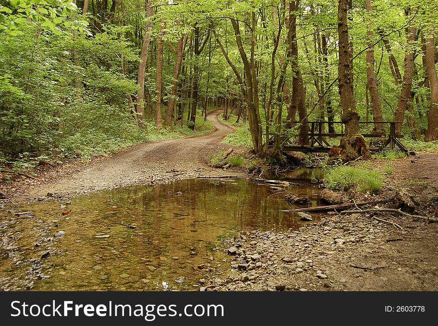 Ford through small stream with bridge above and road dissappearing in distance in the middle of forrest. Ford through small stream with bridge above and road dissappearing in distance in the middle of forrest