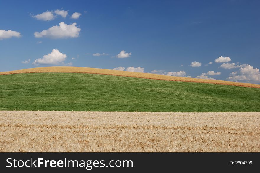 Geometrical simplicity in the tuscany region. Geometrical simplicity in the tuscany region