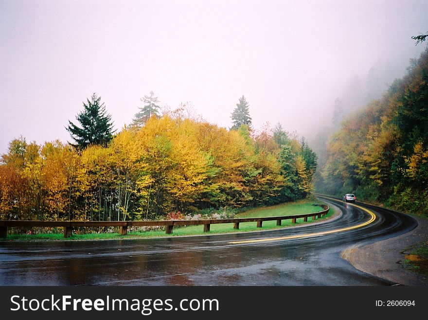 A damp foggy day at the NC state line. Fall colors are bright on the trees. The road is slick. A damp foggy day at the NC state line. Fall colors are bright on the trees. The road is slick.