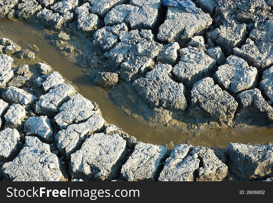 Muddy spring on dried dirt