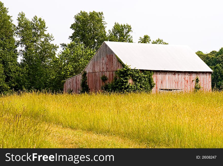 A view of an old dilapidated red barn seen across a hayfield in southern Maryland, once used to store and dry tobacco leaves. A view of an old dilapidated red barn seen across a hayfield in southern Maryland, once used to store and dry tobacco leaves.