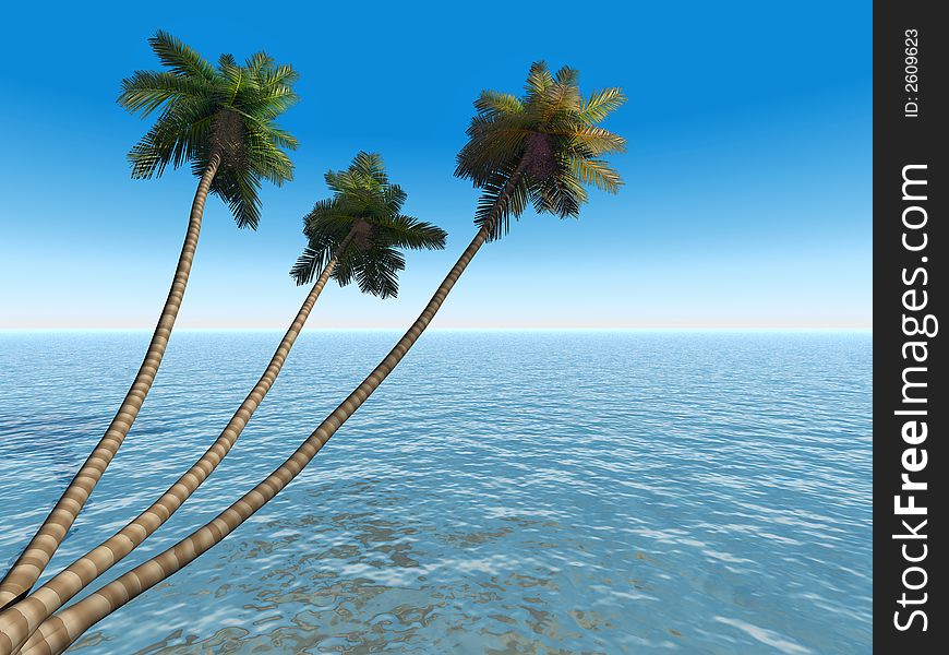 Palms on an exotic tropical beach on a background clear sky and blue transparent ocean