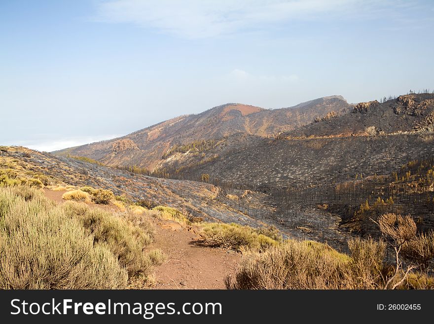 El Teide 10