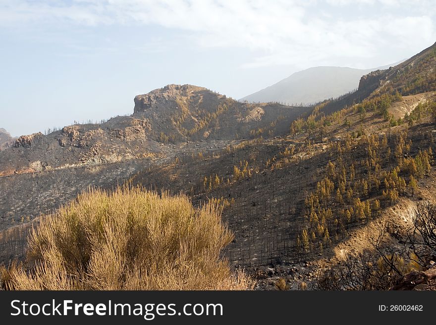 El Teide 9