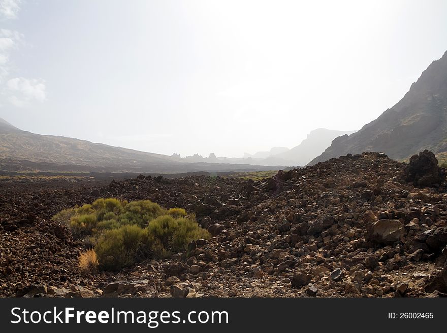 A valley in park El Teide. A valley in park El Teide