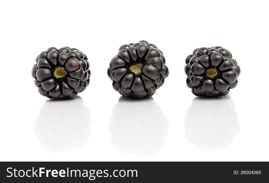 Three blackberries with reflection isolated on white background. Three blackberries with reflection isolated on white background
