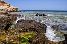 The Wave Royalty Free Stock Image