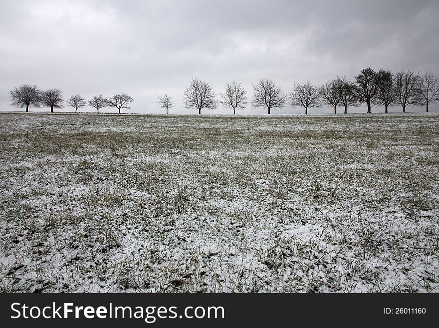 Little snowy meadow and many trees side by side on the horizon, landscape in winter, overcast skies. Little snowy meadow and many trees side by side on the horizon, landscape in winter, overcast skies