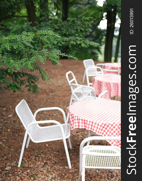 Few empty tables and chairs under wet fir tree in forest. Few empty tables and chairs under wet fir tree in forest