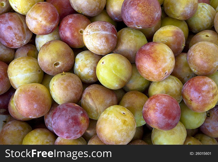 Plums are a close-up.Kind of stone fruit plants.