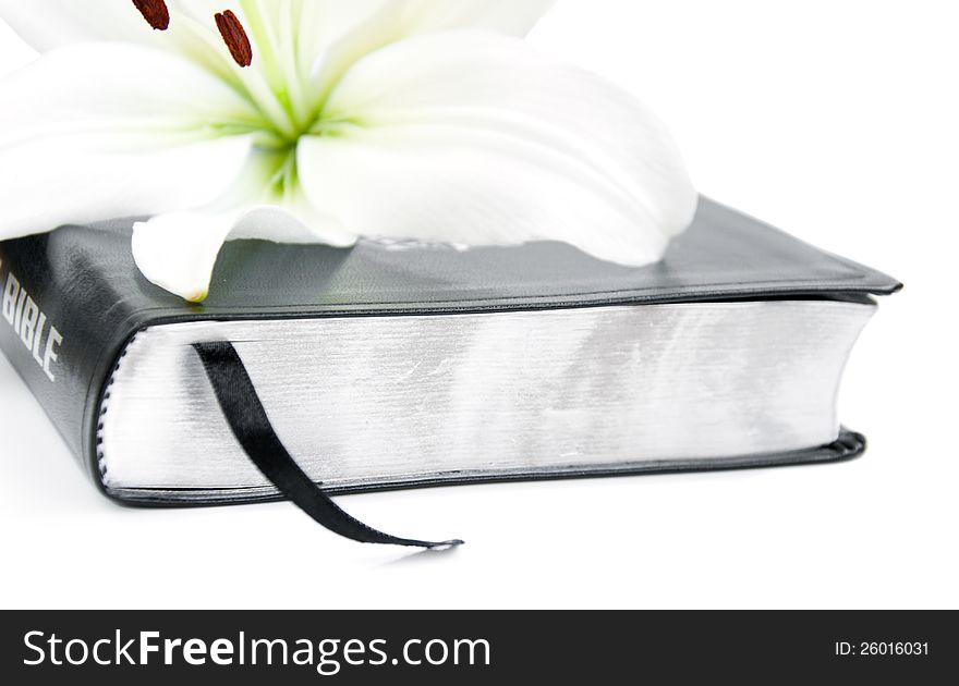 Easter Lily and Bible on a white background